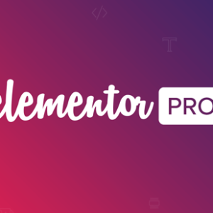 Elementor Pro v3.33.1 - The Most Advanced Website Builder Plugin